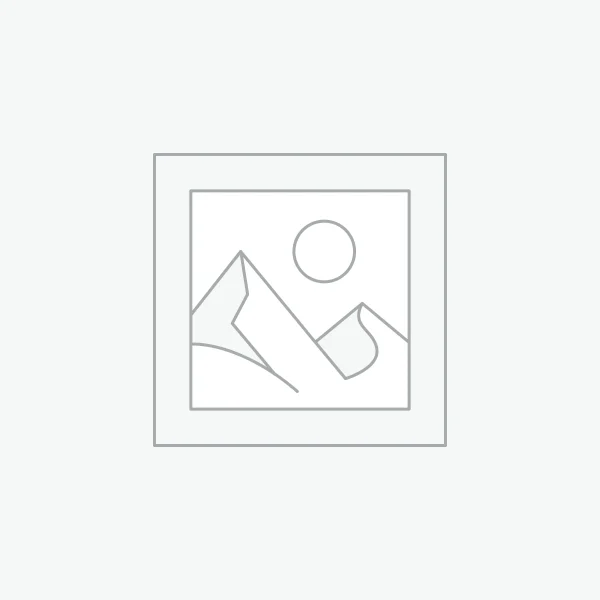 PLAYSTATION PORTAL REMOTE PLAYER PS5 SIN PACKAGING